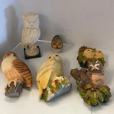 Owl Collection