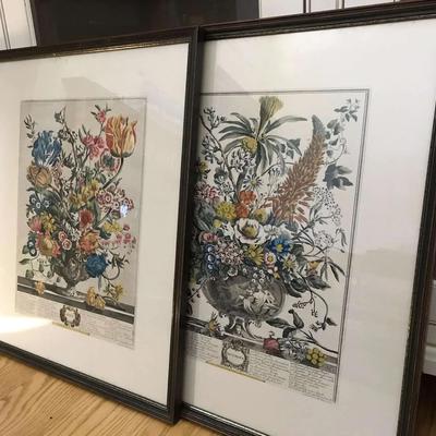 2 Vintage Robert Furber Botanical Engraved Etching Print