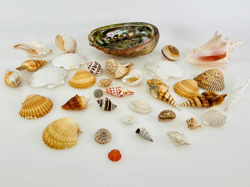 Sale Photo Thumbnail #179