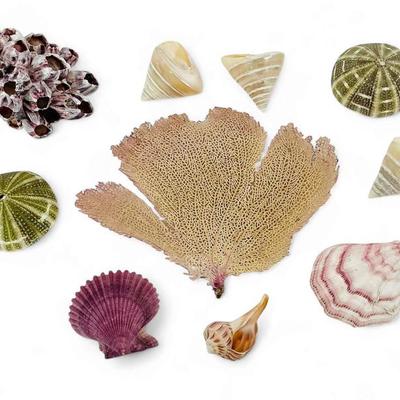 Sale Photo Thumbnail #113