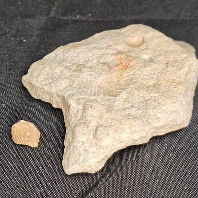 Sale Photo Thumbnail #237