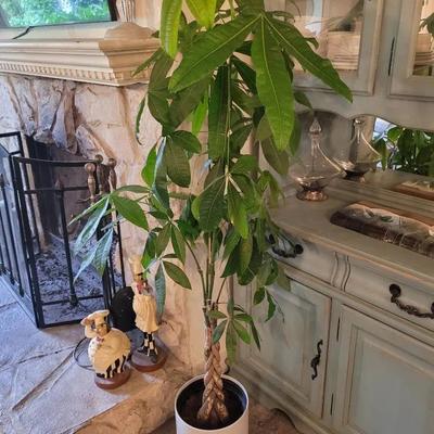 Money Tree