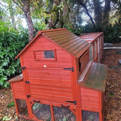 Chicken Coop With Extra Long Run