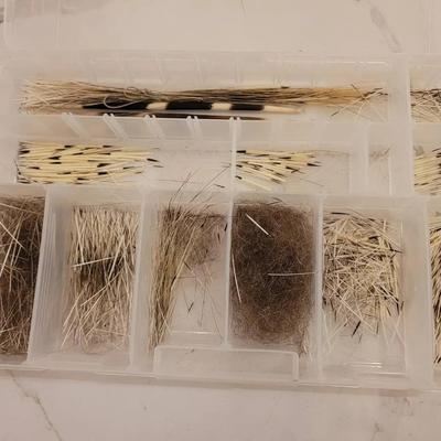 Porcupine Quills