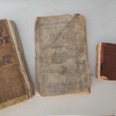 The Sky Pilot and Other Antique Books