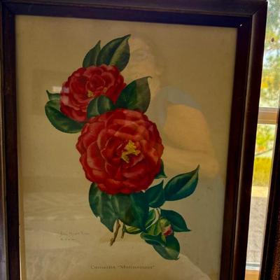 Sale Photo Thumbnail #213