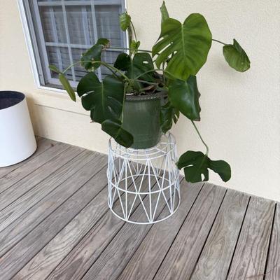 Sale Photo Thumbnail #71