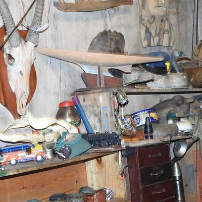 Sale Photo Thumbnail #42: ? For display purposes only.
All taxidermy items, hides, antlers, or bones shown are pending ODFW (Oregon Department of Fish & Wildlife) approval prior to sale or transfer.
