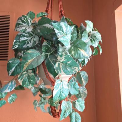 Sale Photo Thumbnail #210