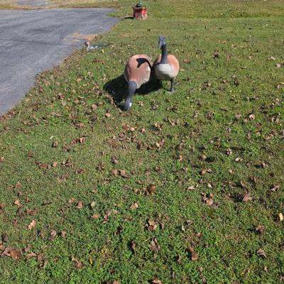 Sale Photo Thumbnail #126