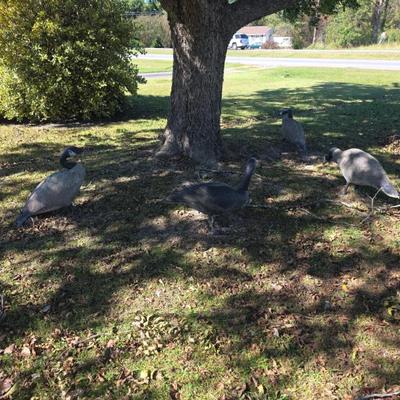 Sale Photo Thumbnail #129