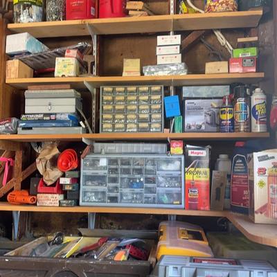 Tool Mystery Lot - A Little Bit Of Everything!