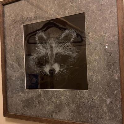 Original Racoon Pastel Art - Signed By Artist