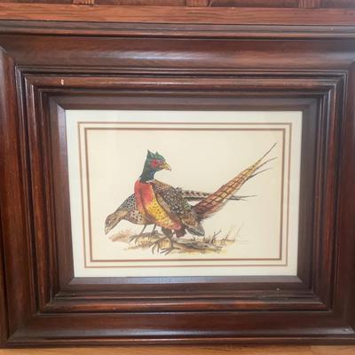 Original Watercolor of Ring-Necked Pheasants By Irene Chipman
