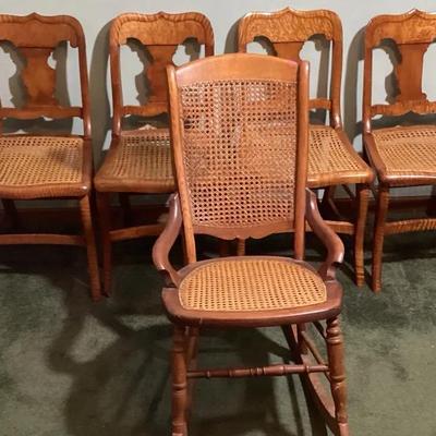 Set of 7 Vintage Wood Dining Chairs with Cane Seats and Matching Rocker