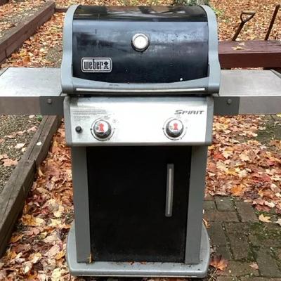 Weber Spirit Two-Burner Gas Grill