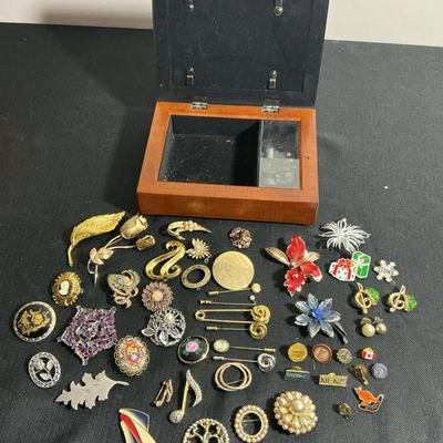Jewelry Box with Assorted Brooch and Pin Collection