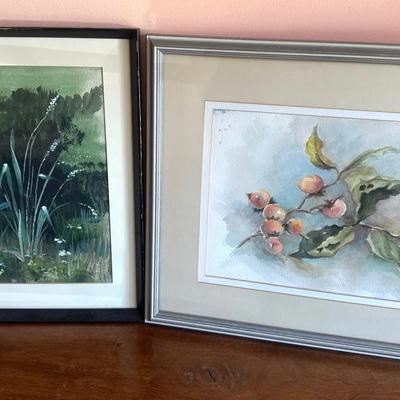 Two Framed Watercolor Plant Paintings