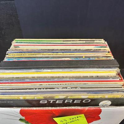 53 Jacketed Vinyl Albums