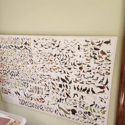 Sale Photo Thumbnail #44: North American Birds