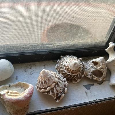 Sale Photo Thumbnail #126