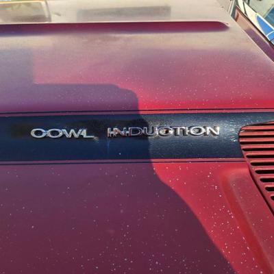 Sale Photo Thumbnail #7