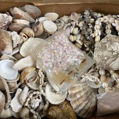 Sale Photo Thumbnail #393