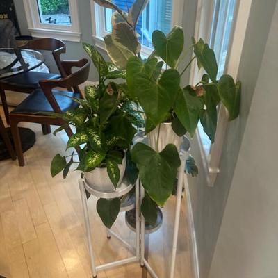 Sale Photo Thumbnail #48