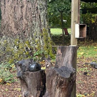 Sale Photo Thumbnail #48