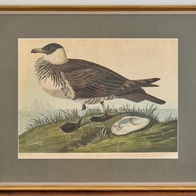 Sale Photo Thumbnail #166