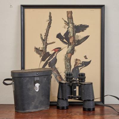 Sale Photo Thumbnail #225