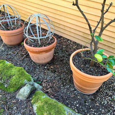 Sale Photo Thumbnail #12