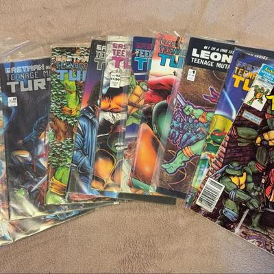 Teenage Mutant Ninja Turtles Comic Books
