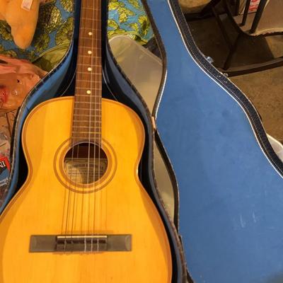 Tranquillity Giannini Guitar