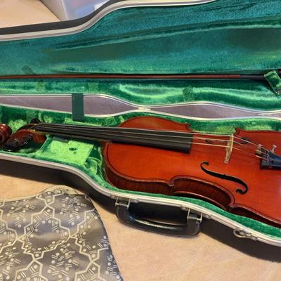 Violin In Case 2