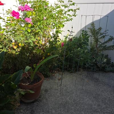 Sale Photo Thumbnail #25