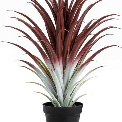 Sale Photo Thumbnail #82