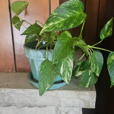 Sale Photo Thumbnail #176