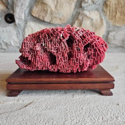 Lot #7 - Red Organ Pipe Coral (Tubipora musica) on Wood Plate