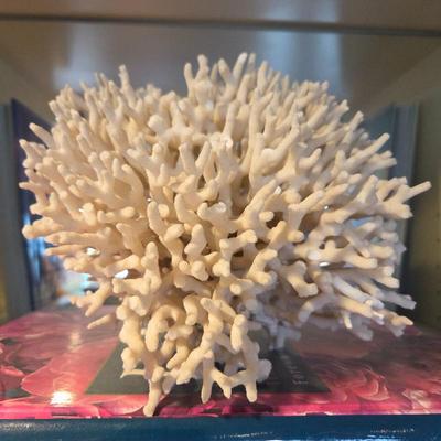 Lot #39 - Vintage Natural Ivory White Sea Coral Cluster, Coral Reef Decor, Coral tree.