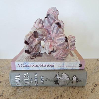 Lot #55 - Antique 1894 Book "Naval Battles" Plus Colorado History Book & Purple Barnacle Cluster