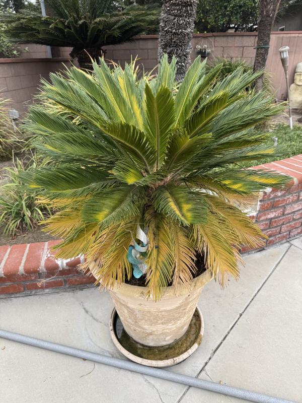 Sale Photo Thumbnail #108