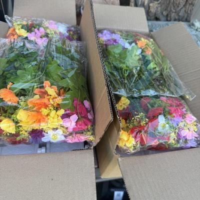 Sale Photo Thumbnail #16