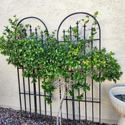 Sale Photo Thumbnail #44