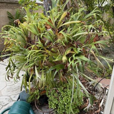 Sale Photo Thumbnail #39