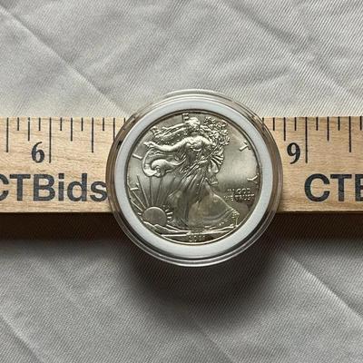 2011 1 oz American Silver Eagle Coin .999 Fine Silver