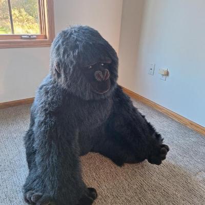 Resized 20251024 163405