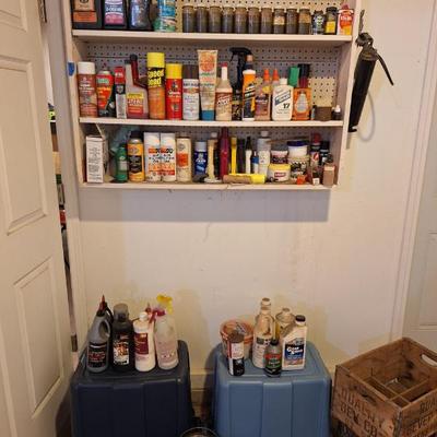 Resized 20251105 104951