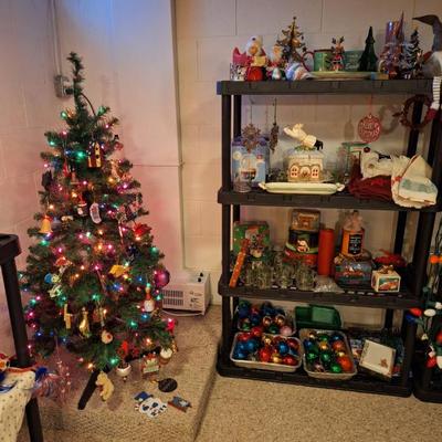 Resized 20251031 152913