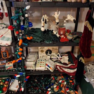 Resized 20251031 152918